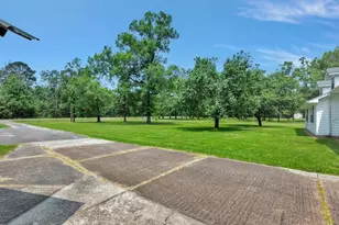 21441 Fm 705, Broaddus, TX 75929 - Photo 5