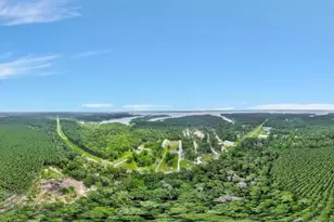 21441 Fm 705, Broaddus, TX 75929 - Photo 41