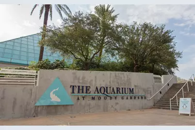 7000 Seawall Boulevard #824, Galveston, TX 77551 - Photo 45