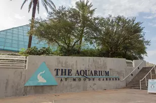 7000 Seawall Blvd, Galveston, TX 77551 - Photo 45