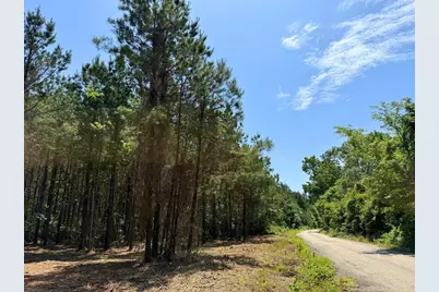 0 Sunflower Road, Livingston, TX 77351 - Photo 9