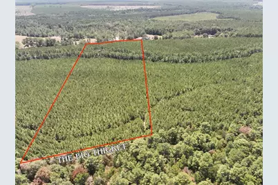 0 Sunflower Road, Livingston, TX 77351 - Photo 1