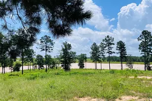 0 Quail Alley Circle, Livingston, TX 77351 - Photo 1