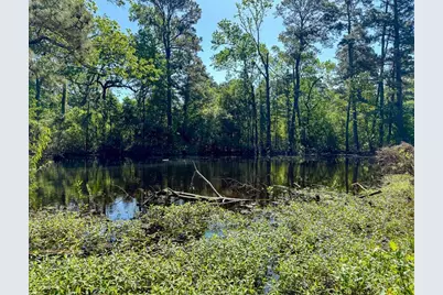 1 Old Houston Rd, Huntsville, TX 77340 - Photo 9