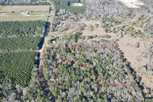 00 Fm 2798, Livingston, TX 77351 - Photo 1