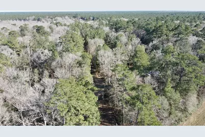 00 Fm 2798, Livingston, TX 77351 - Photo 9