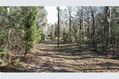 00 Fm 2798, Livingston, TX 77351 - Photo 11