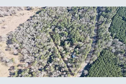 00 Fm 2798, Livingston, TX 77351 - Photo 3
