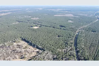 00 Fm 2798, Livingston, TX 77351 - Photo 5