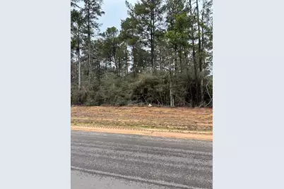 15917 Four Hills Road, Willis, TX 77378 - Photo 3