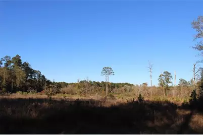 00 Tbd Tx-150, Coldspring, TX 77331 - Photo 1