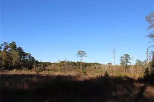 00 Tbd Tx-150, Coldspring, TX 77331 - Photo 1