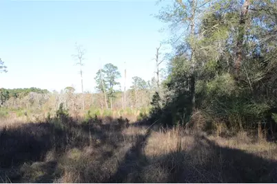 00 Tbd Tx-150, Coldspring, TX 77331 - Photo 3