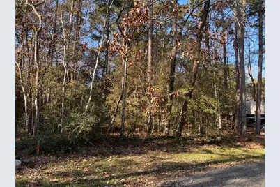 Tbd N Fairway Loop, Coldspring, TX 77331 - Photo 3