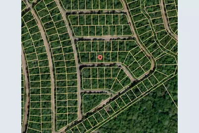 Lot 19 Port, Normangee, TX 77871 - Photo 3