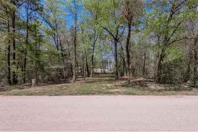 Tbd Meridian, Livingston, TX 77351 - Photo 11