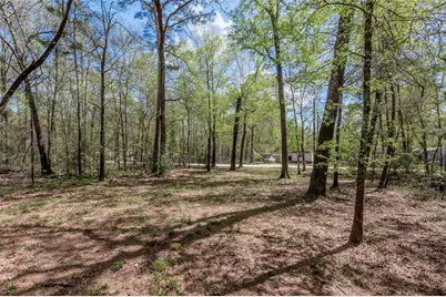 Tbd Meridian, Livingston, TX 77351 - Photo 7