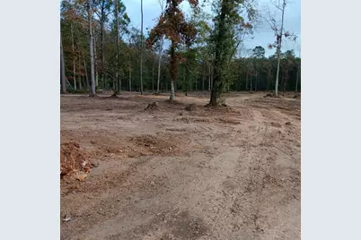 Lot 22 Plum Pudding Road, Livingston, TX 77351 - Photo 7