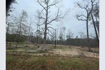 Lot 22 Plum Pudding Road, Livingston, TX 77351 - Photo 11