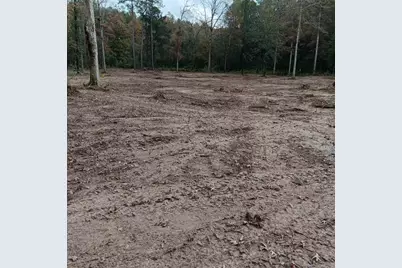 Lot 22 Plum Pudding Road, Livingston, TX 77351 - Photo 13