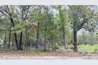 O Panther Lane, Livingston, TX 77351 - Photo 3