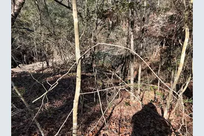 0040 County Road 302, Plantersville, TX 77363 - Photo 39