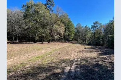 0040 County Road 302, Plantersville, TX 77363 - Photo 33