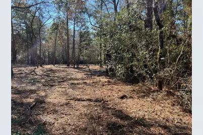 0040 County Road 302, Plantersville, TX 77363 - Photo 15