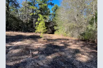 0040 County Road 302, Plantersville, TX 77363 - Photo 31