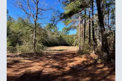 0040 County Road 302, Plantersville, TX 77363 - Photo 25