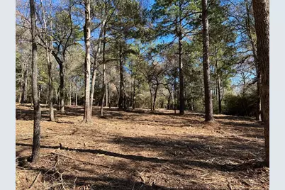 0040 County Road 302, Plantersville, TX 77363 - Photo 19