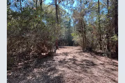 0040 County Road 302, Plantersville, TX 77363 - Photo 21