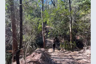 0040 County Road 302, Plantersville, TX 77363 - Photo 29