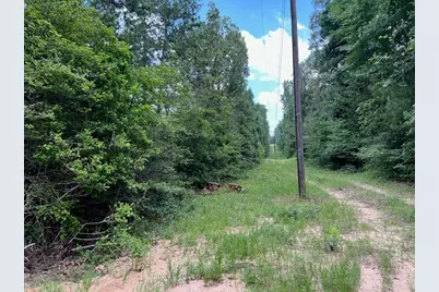 0040 County Road 302, Plantersville, TX 77363 - Photo 13