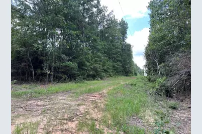 0040 County Road 302, Plantersville, TX 77363 - Photo 11