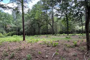 0040 County Road 302, Plantersville, TX 77363 - Photo 1