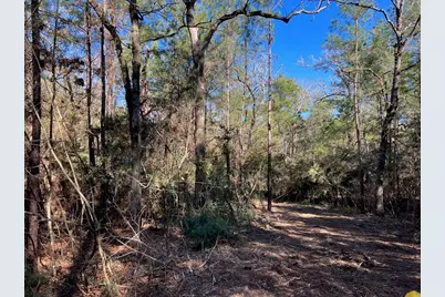 0040 County Road 302, Plantersville, TX 77363 - Photo 35