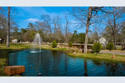 7519 Red Bay Circle, Magnolia, TX 77354 - Photo 31