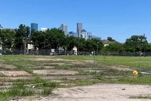 1402 Palmer, Houston, TX 77003 - Photo 1