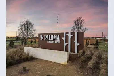 17326 White Peace Drive, Waller, TX 77484 - Photo 21