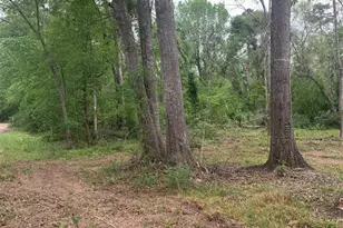 00 Lakewood Dr, Splendora, TX 77372 - Photo 5