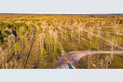 Tbd 06 Johnson Drive, Livingston, TX 77351 - Photo 5