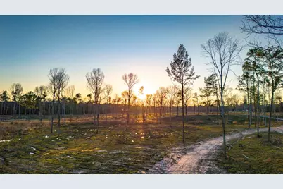 Tbd 06 Johnson Drive, Livingston, TX 77351 - Photo 7