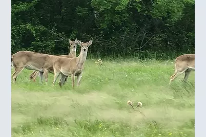 0 Brahman Trail Trail, Angleton, TX 77515 - Photo 3