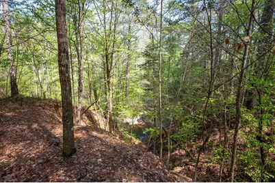 Tbd County Road 138, Jasper, TX 75951 - Photo 3