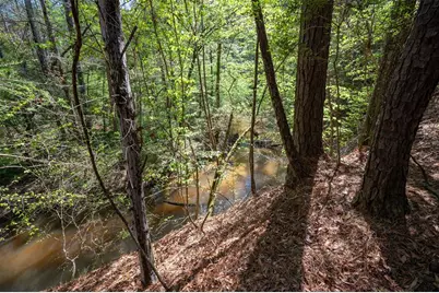 Tbd County Road 138, Jasper, TX 75951 - Photo 1