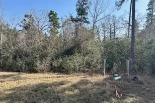 380 Iron Horse Rd, New Waverly, TX 77358 - Photo 1