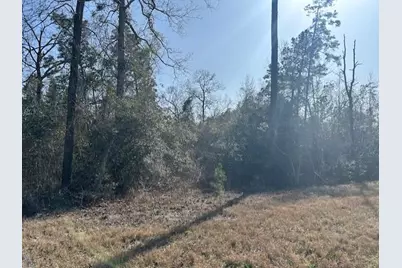 380 Iron Horse Road, New Waverly, TX 77358 - Photo 3