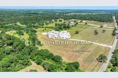 293 Bellwood Lake Lane, Bellville, TX 77418 - Photo 3