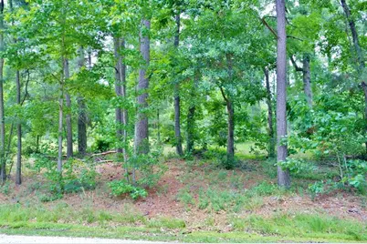 Lot 695 Lake Shore Drive, Coldspring, TX 77331 - Photo 11